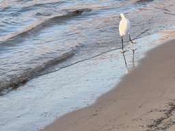 090-18-12-2025 IMG_3239